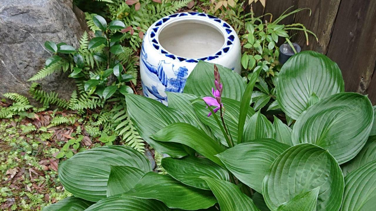 Guesthouse Tenkai 교토 외부 사진